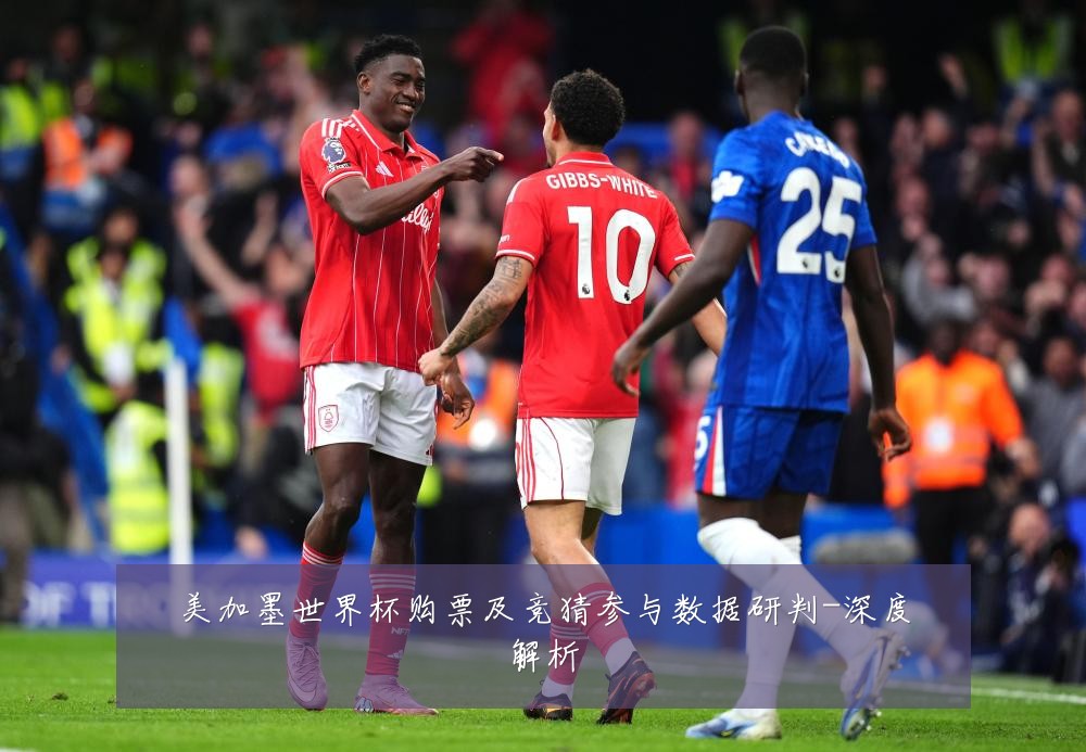 美加墨世界杯购票及竞猜参与数据研判-深度解析