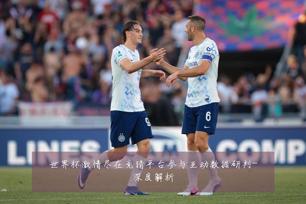 世界杯激情尽在竞猜平台参与互动数据研判-深度解析